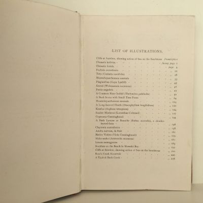 A NEW ZEALAND NATURALIST'S CALENDAR