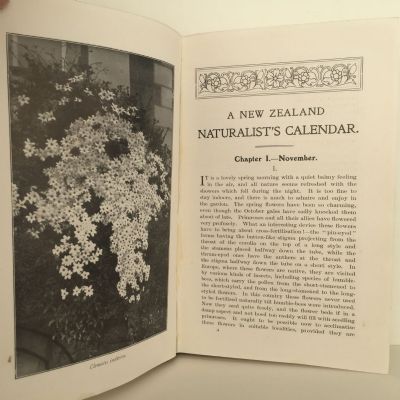 A NEW ZEALAND NATURALIST'S CALENDAR