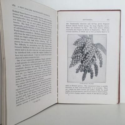 A NEW ZEALAND NATURALIST'S CALENDAR