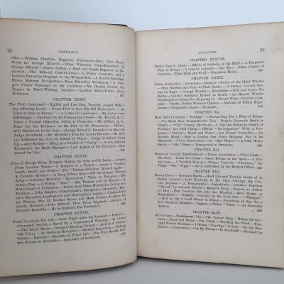 FORGING HIS OWN CHAINS: The Wonderful Life-Story of George Bidwell
