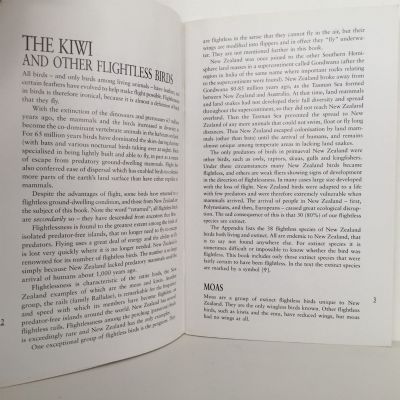 THE KIWI and Other Flightless Birds