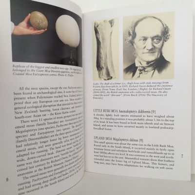 THE KIWI and Other Flightless Birds