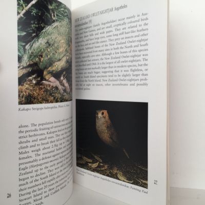 THE KIWI and Other Flightless Birds
