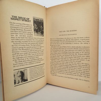 Great Cases of Scotland Yard: Vol 2