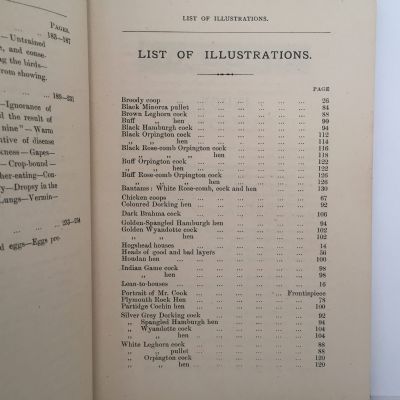 W Cooks Poultry Breeder and Feeder: Or How To Make Poultry Pay