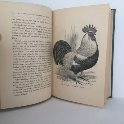 W Cooks Poultry Breeder and Feeder: Or How To Make Poultry Pay