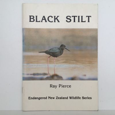 BLACK STILT