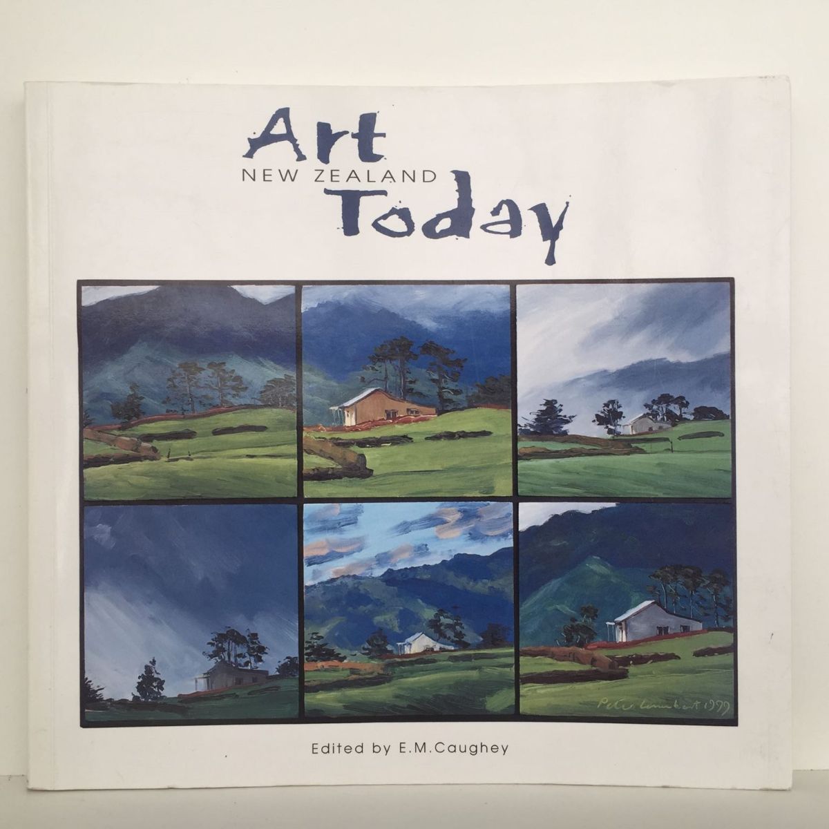 Art New Zealand Today