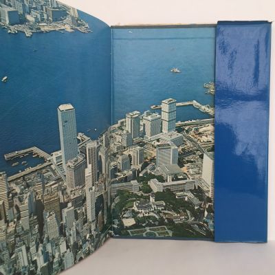 THIS IS HONG KONG: The Story of Government House