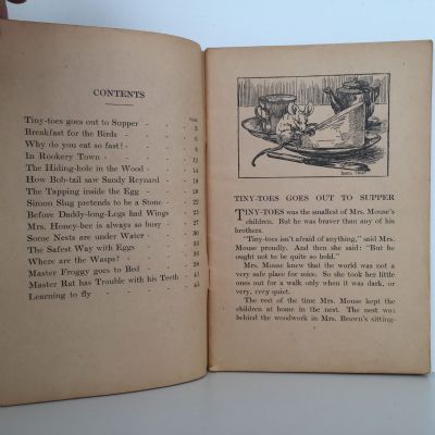 LITTLE NATURE STORIES: Whitcombe's Story Books No 224