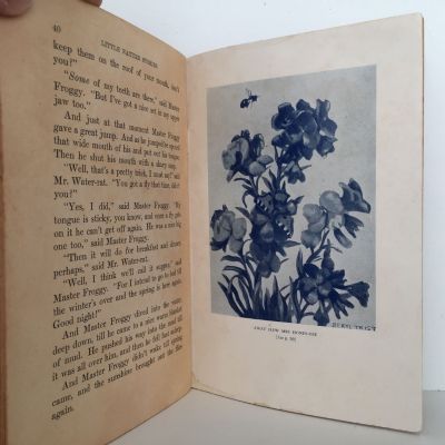 LITTLE NATURE STORIES: Whitcombe's Story Books No 224