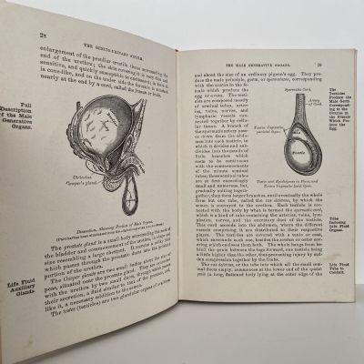 THE NEW EUGENICS Parents Medical Counsellor