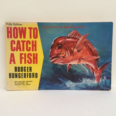 HOW TO CATCH A FISH