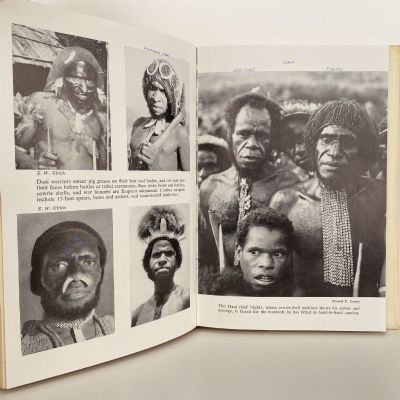 CANNIBAL VALLEY: The Heroic struggle for Christ in New Guinea