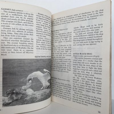 BIRDS OF AUCKLAND