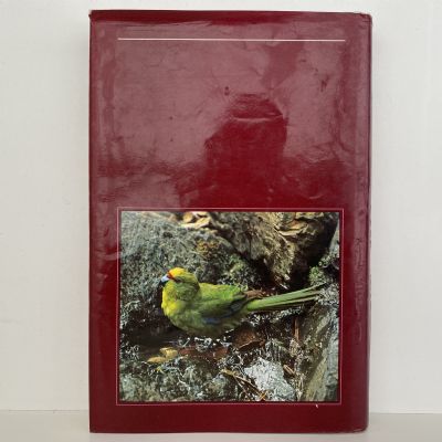 BIRDS OF NEW ZEALAND and Outlying Islands