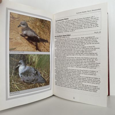 BIRDS OF NEW ZEALAND and Outlying Islands