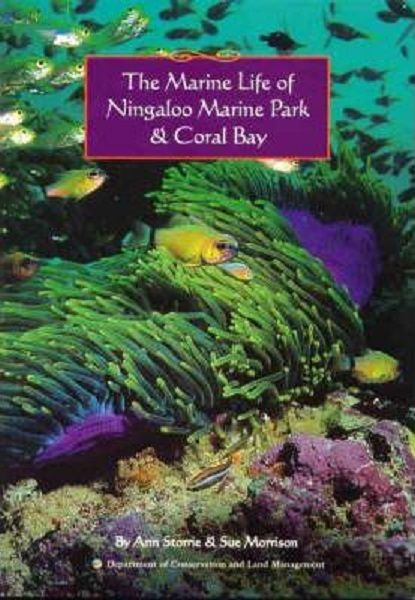 The Marine Life of Ningaloo Marine Park & Coral Bay