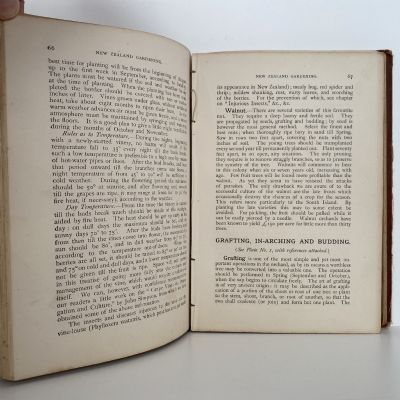 HANDBOOK OF GARDENING for New Zealand