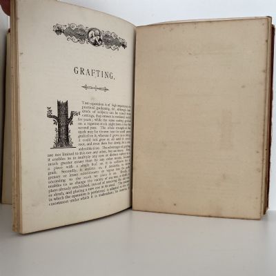 HANDBOOK OF GARDENING for New Zealand