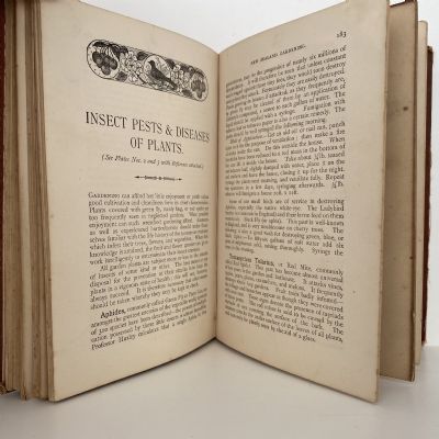 HANDBOOK OF GARDENING for New Zealand