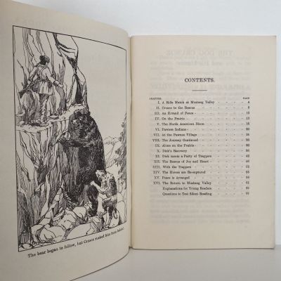 THE DOG CRUSOE AND HIS MASTER: Whitcombe's Story Books