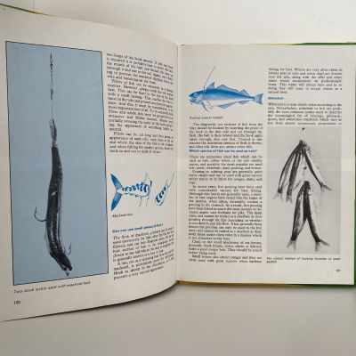ANGLING IN COLOUR: Sea, Course and Game