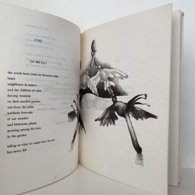 BORROW PIT: Poems