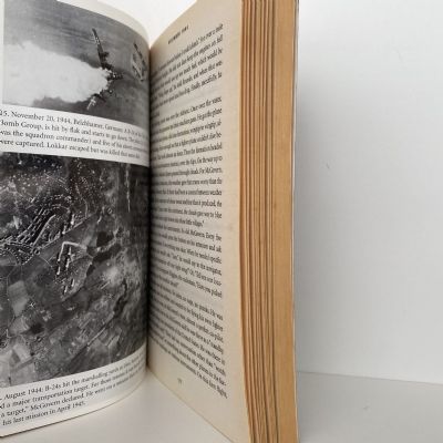 WILD BLUE: 741 Squadron - On a Wing and a Prayer over Occupied Europe