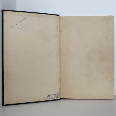 DEATH IN THE AIR: The War Diary and Photographs of a Flying Corps Pilot