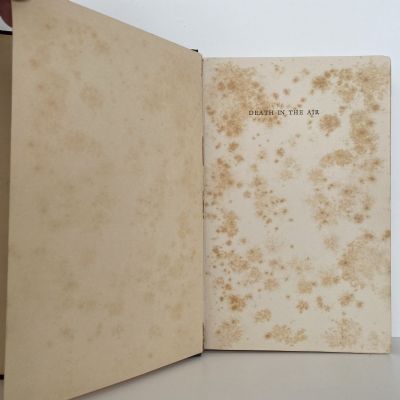 DEATH IN THE AIR: The War Diary and Photographs of a Flying Corps Pilot