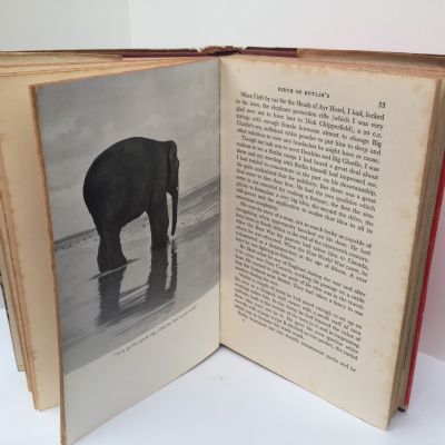 BIG CHARLIE: Elephant Bill