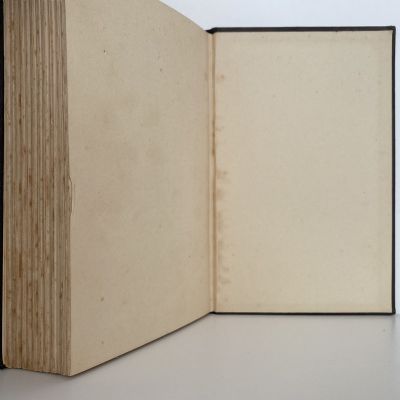 DEATH IN THE AIR: The War Diary and Photographs of a Flying Corps Pilot