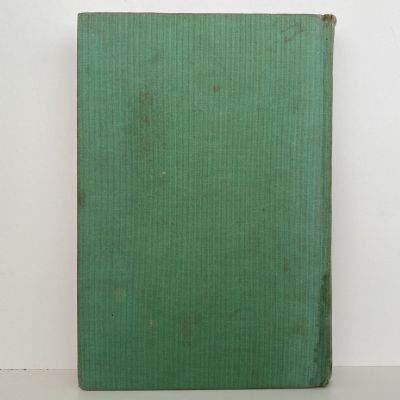 AMY JOHNSON: Lone Girl Flyer