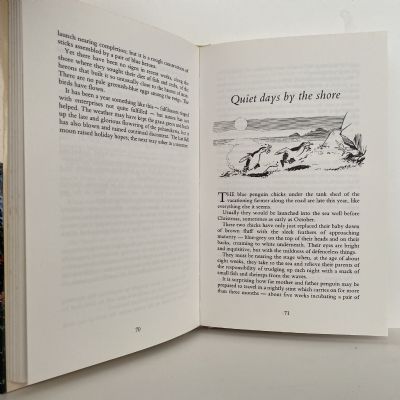 Four Seasons of COUNTRY DIARY