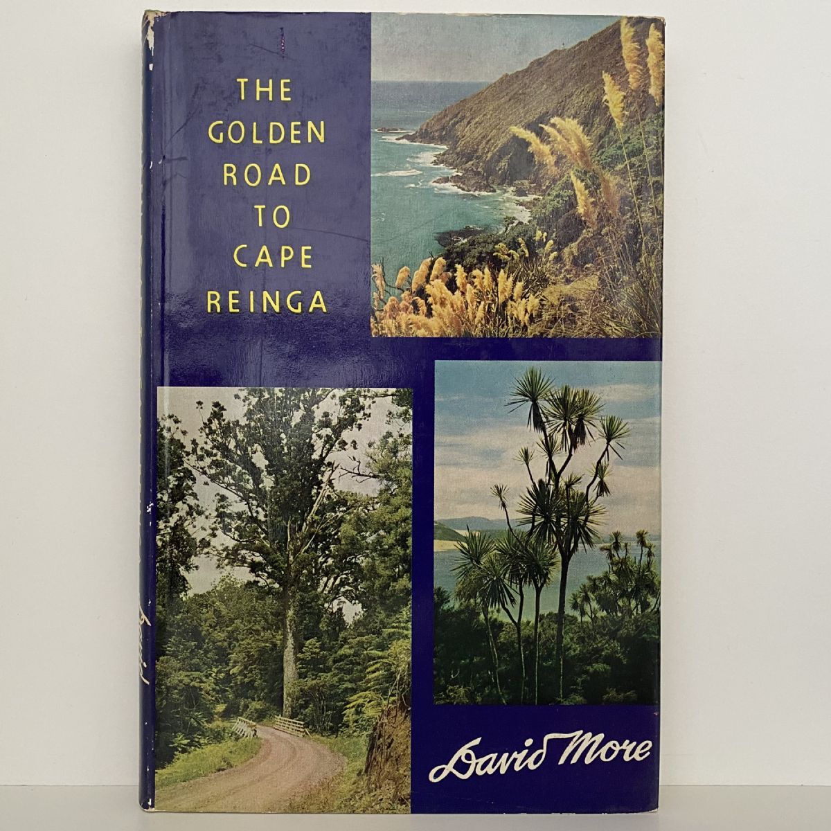The Golden Road to Cape Reinga