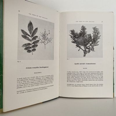 THE TREES of New Zealand