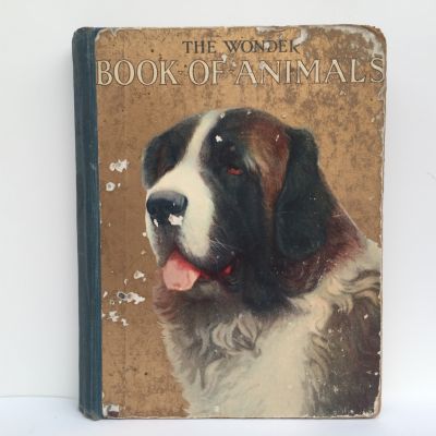 The Wonder Book of Animals
