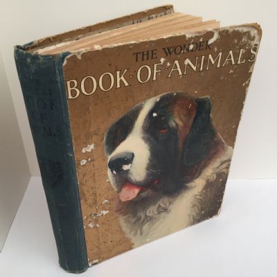 The Wonder Book of Animals