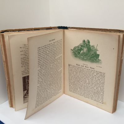 The Wonder Book of Animals