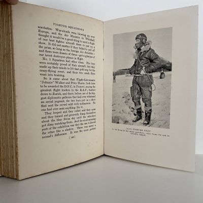 FIGHTER SQUADRONS: The Epic Story of Two Hurricane Squadrons in France