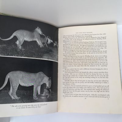 LIVING FREE: The Story of Elsa and her Cubs