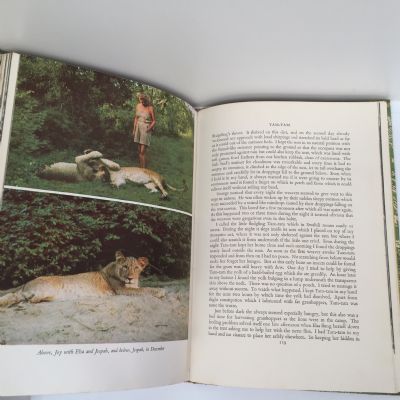 LIVING FREE: The Story of Elsa and her Cubs