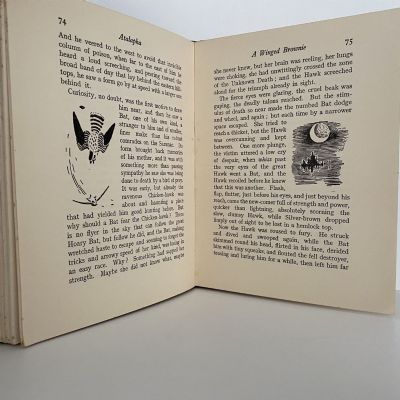 BILLY and Other Stories