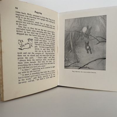 3 Book Collection of Stories by Ernest T. Setton