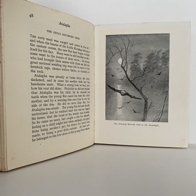 3 Book Collection of Stories by Ernest T. Setton