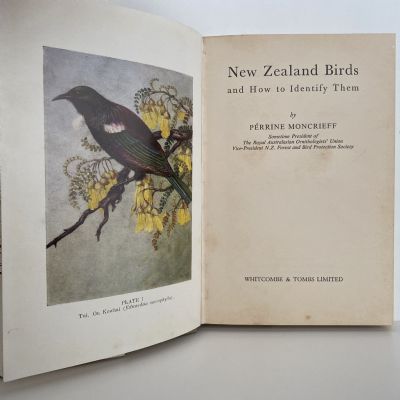 NEW ZEALAND BIRDS and How to Identify Them
