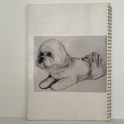 YOUR BICHON FRISE