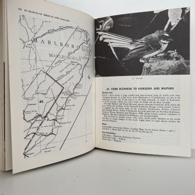 IN SEARCH OF BIRDS In New Zealand: How and Where To Find Them