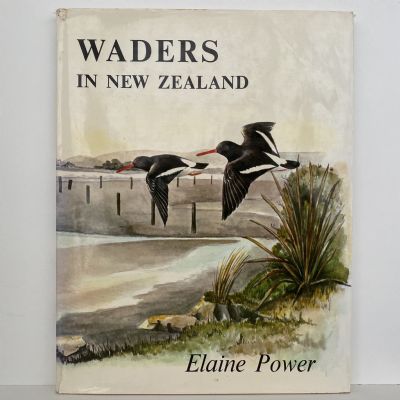 WADERS IN NEW ZEALAND